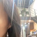 헤어살롱 소프레사