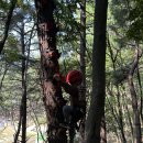 브라운반 조재윤🦕🦖 이미지