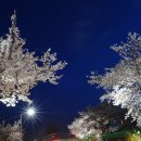 고강(주)
