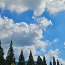 동래덤프 이미지