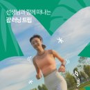 웰니스트립