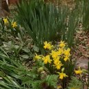 수생당한의원 이미지