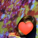하모니마트앞~버스터미널~홍문동 현대(아) 후문 | 마카오 만 1일차 기록합니당