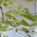 나무모아 - 용인시 처인구 도창로32번길 28-6 | 나무모아