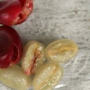 경향농장 이미지