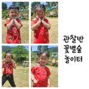 폴짝폴짝 이야기 숲 이미지