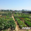 청룡동-38 이미지