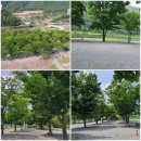 영월 외룡 캠핑장 이미지