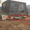 경기도 양평군 수입초등학교 이미지