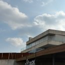 동아(아)입구↔47번국도(아)입구 | 2024년 첫 여행이자 마지막이 된 제주도 2일차