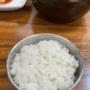 와글와글염소탕.소머리국밥 | 고성 장사항 맛집 풍미옥 설렁탕 소머리곰탕 후기