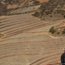 이영구농장 이미지