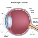 허그동물의료센터 이미지