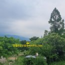 일양공인중개사사무소 이미지