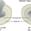 방주동물의료센터 이미지