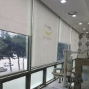 연세자연치과의원 네이버블로그