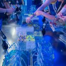 지구별무대 | 8월 여름 맥주 여름 축제 뮤직 페스티벌 2025 카스쿨 페스티벌 후기