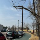 파주출판단지 근린공원(2) 이미지