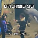 벨루가
