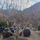 태림농원 이미지