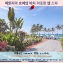빅토리아 | 호이안 빅토리아 호텔 후기: 인생 리조트! 추천하는 이유