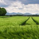 (유)하나팜텍 이미지