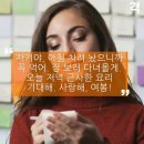 고주망태 - 수원시 영통구 청명남로34번길 21 | 고주망태