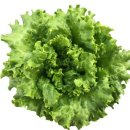 친환경우리농장 이미지