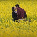 관식이 농장 이미지