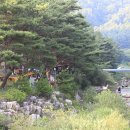 엄둔솔밭빌리지 이미지