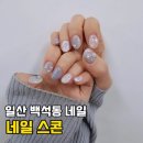 일산 백석역 네일 네일스콘 연말 느낌 이달의 아트 솔직 만족 후기
