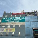 민트고래 이미지