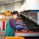 무주농협 친환경유통사업단 이미지