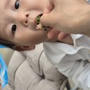 주원이의 5월 녹색캠페인(퍼머컬처 실천하기) 이미지