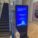 카즈미 타테이시 트리오 내한공연 | [광주] 카즈미 타테이시 트리오 내한 공연 - 지브리, 재즈를 만나다 관람 후기