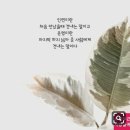 ♥ 슬기로운 중년 연애생활....＜연애 기본 필독서＞ ♥ 이미지