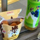 치와와 둥지 | 후쿠오카 훑구오까