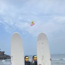 서핑쿠스 이미지