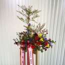 디자인휴먼학원