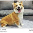 케이미용카페