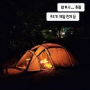 호두나무캠핑장 | [천안 광덕] 어반사이드 스테고 🦖 텐트 피칭 후기 | ft. 천안 호두나무 캠핑장 &amp; 🏖 수영장