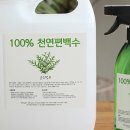 이심재 이미지