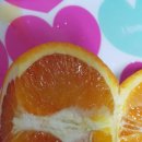 가영농장 이미지