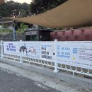 상황원도(상황도)