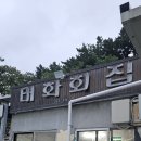 포항 참가자미횟집 | [포항] 현지인 맛집 태화회집 자연산 참가자미 회 맛집 태화회집 물회 추천 솔직후기 (메뉴 및 안내)