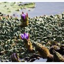 맥도생태공원 이미지