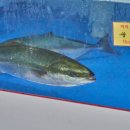 중문회어시장