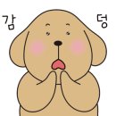 갸카페 이미지