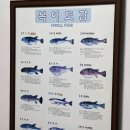 할매매운탕 | 부산역에서 꼭 가봐야할 맛집 추천 할매복국 밀복국 후기