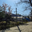 청룡산 | 관악구 배드민턴장 후기 - 청룡산 체육관